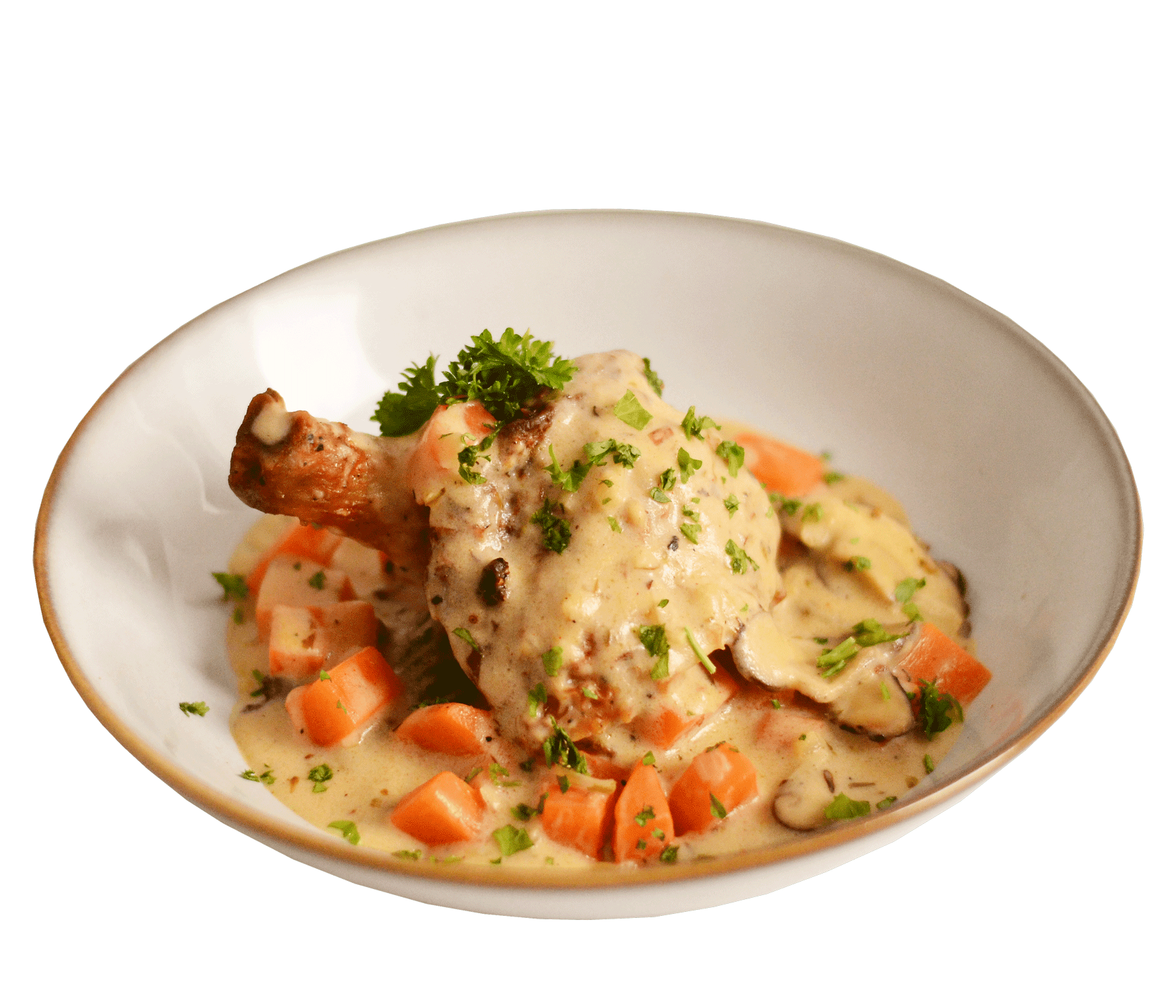 French-Creamy-Chicken-Stew-9